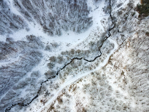 Aerial shot of a snowy forest for backgrounds and wallpapers