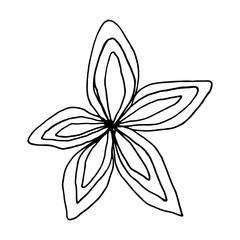 Abstract vector flower line drawing. Black and white hand illustration