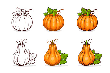 Vector color sketch, tasty pumpkin, hand drawn illustration