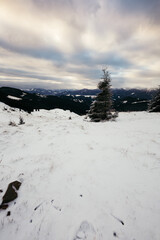 Fototapeta premium A snow covered slope in snow a mountain