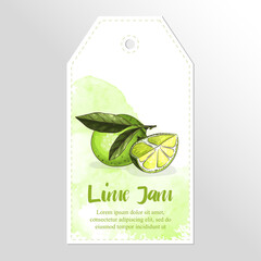 Label or sticker design with lime illustration. Homemade lime jam. For natural or organic fruit products and health care goods.