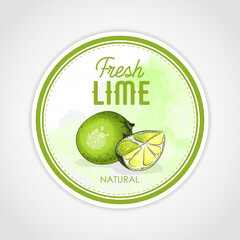 Round label or sticker design in vintage style with lime illustration. Fresh natural lime. For natural or organic fruit products and health care goods.