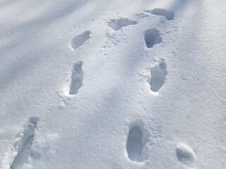 Deep traces of man on white fresh snow sparkling in the sun, background texture, copy space, mobile photo