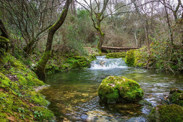 Fototapeta na wymiar River in the forest of Beselga, Portugal. Forest with moss covered rocks and trees with river stream