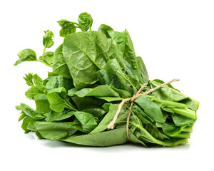 Thai malabar isolated on white background