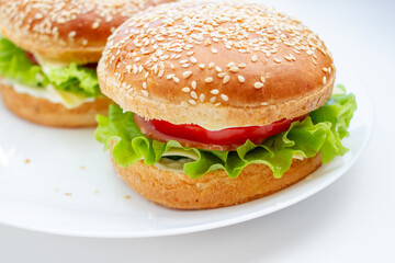 Burger with vegetables and sauce. Closeup of home made sandwich on white plate