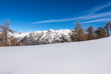 Fototapeta na wymiar The mountain range of the Monte Carega in winter with snow, called the small Dolomites view from the Altopiano della Lessinia (Lessinia Plateau). Veneto and Trentino Alto Adige, Italy, Europe.