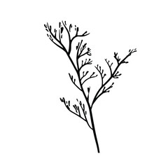 Leaves drawing with line-art on white backgrounds.