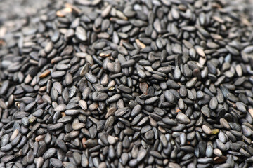 Black sesame on white background