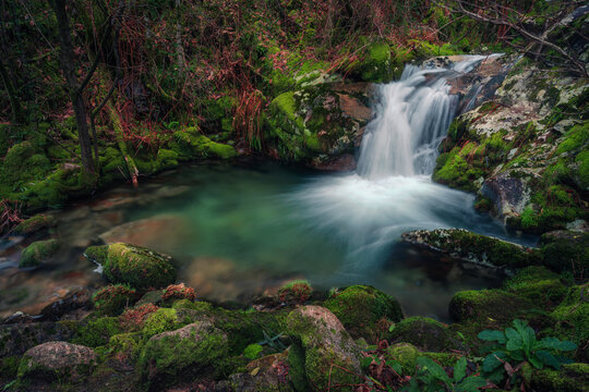 THE MYSTIC POND