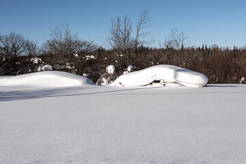 Winter Landscape of snow buried cars