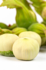 Fresh green hazel nut in studio on white background