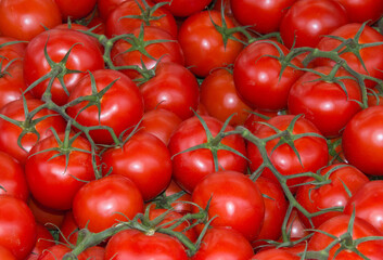 Tomatoes - fresh on a Market Stall