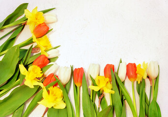 Spring- or easter background with tulips and daffodils, copy space