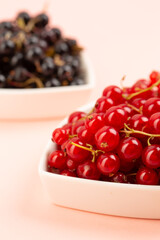 Black and red currant in studio