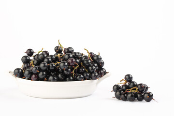 Black currant  in studio on white background