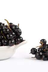 Black currant  in studio on white background