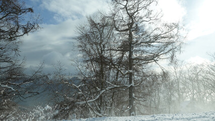 雪に覆われた山から見る空