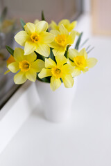 .A bouquet of spring flowers daffodils in a white vase stands on a white collision near the window