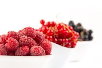 Fresh raspberry and currant close up in studio