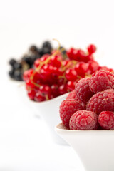 Fresh raspberry and currant close up in studio