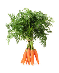 bunch of carrots isolated on white