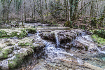 stream in the forest