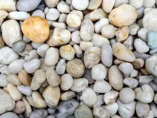 Round and spongy white stone on ground beside the waterfall