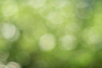 Obraz premium Natural outdoors bokeh background in gold sunlight with green and yellow tones, Blurred light and leaf background with bokeh