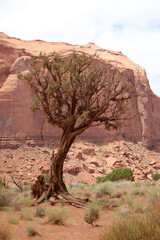 Monument Valley (USA/Arizona)