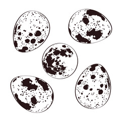 Full Moon and quail eggs with dots and splashes on a white background. Vector hand drawn illustration