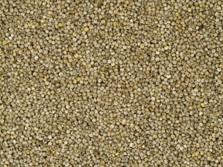 Millet Texture, Background