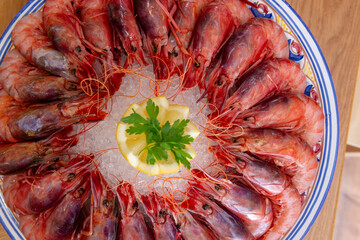 Red Gambon dish, rested on ice