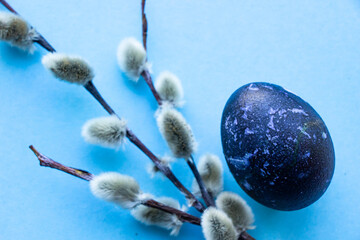 Easter pussy willow and Easter egg on a blue background