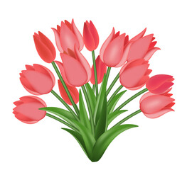 Bouquet of red tulips with green leaves. Vector illustration, isolated.