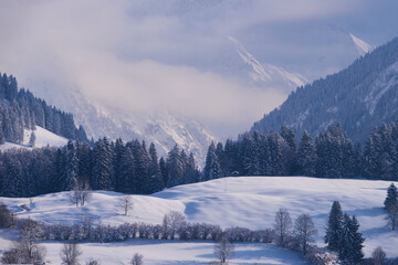 Blick über tief verschneite Täler und den Hauptkamm der Allgäuer Alpen