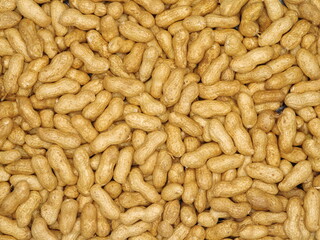 The Closeup of boil peanut thai style on white background