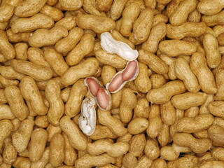 The Closeup of boil peanut thai style on white background