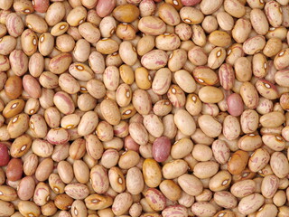 roman bean background