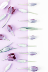 Frame border made of tulips on two tone yellow and pink background. Minimal design greeting card. Valentine's or Women's day concept. Flat lay. Copy space.