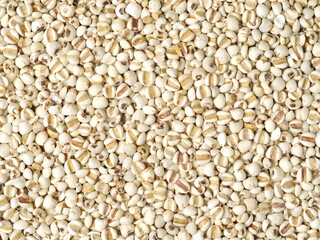 Job's tears background