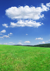 Idyllic view, green field and blue sky with white clouds