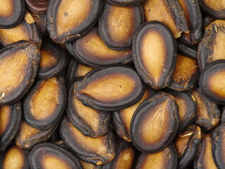  Black Melon Seeds background