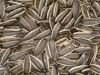 Sunflower seeds background