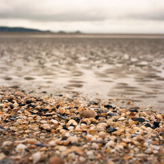 Mumbles is a headland sited on the western edge of Swansea Bay on the southern coast of Wales