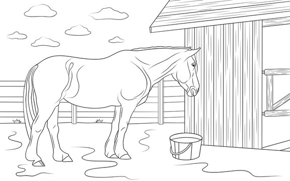 Horse is standing near its stable in outdoors. Illustration for coloring book.