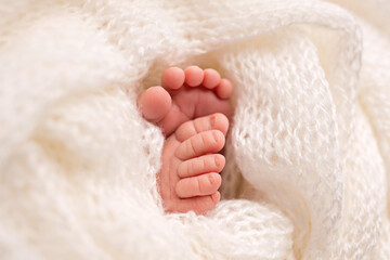 legs toes newborns in a blanket 