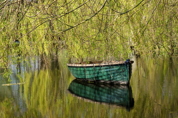 A green rowing boat with reflection under a weeping willow tree on a tranquil pond.