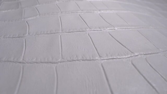 The texture of the white skin of an animal very close up. Real leather with a natural pattern