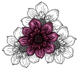 Realistic flower and black and white sketch, purple pattern, floral ornament, floral print. Stock vector illustration isolated on white background.